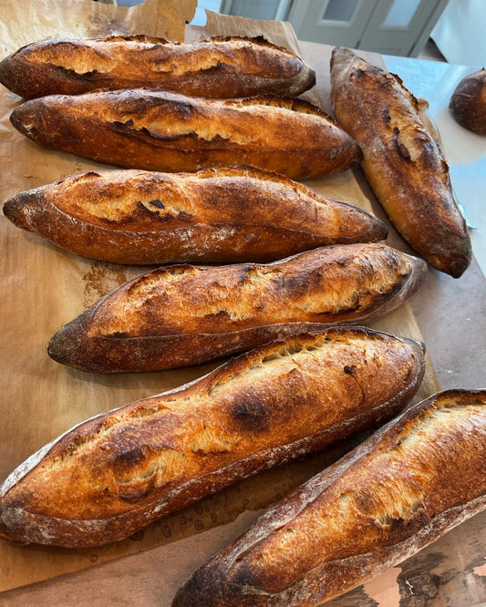 Sourdough Demi Baguettes